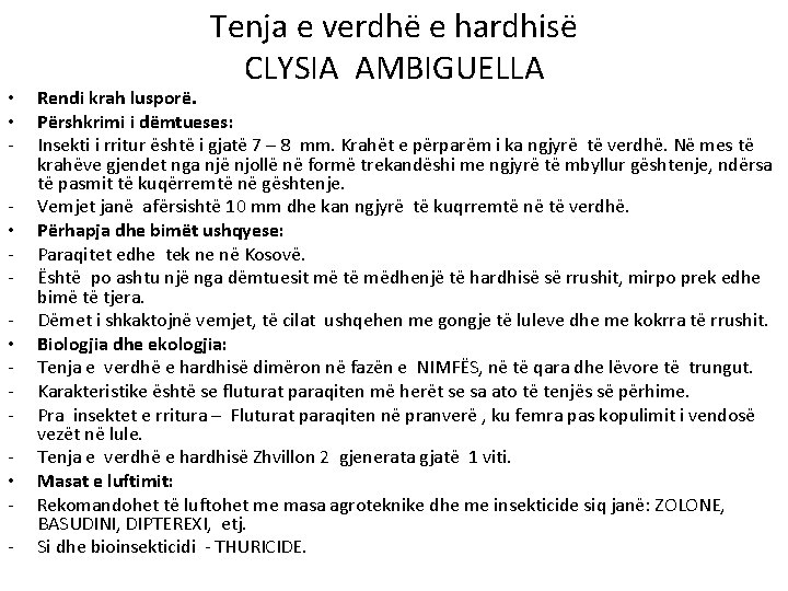  • • • - Tenja e verdhë e hardhisë CLYSIA AMBIGUELLA Rendi krah