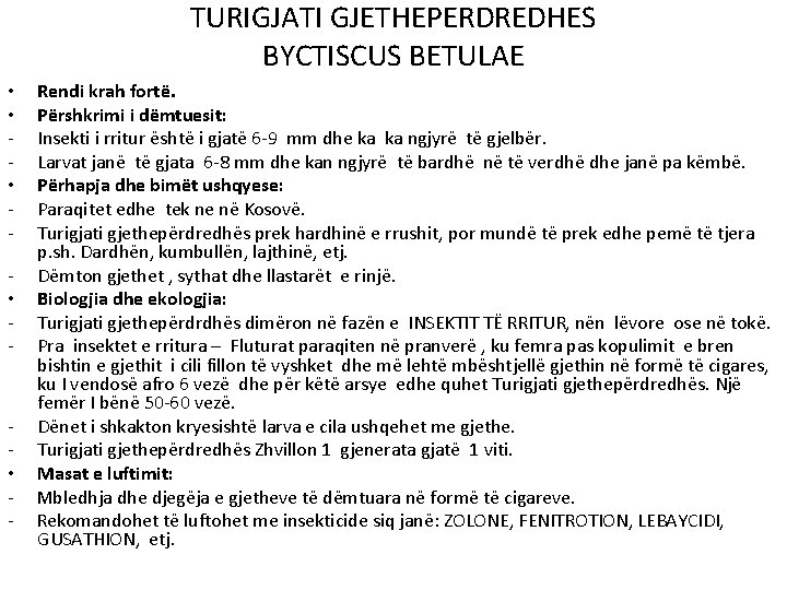 TURIGJATI GJETHEPERDREDHES BYCTISCUS BETULAE • • - Rendi krah fortë. Përshkrimi i dëmtuesit: Insekti