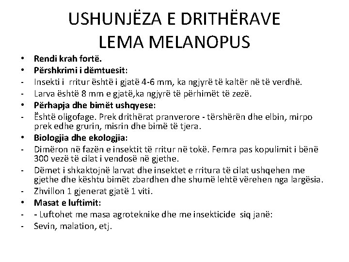 USHUNJËZA E DRITHËRAVE LEMA MELANOPUS Rendi krah fortë. Përshkrimi i dëmtuesit: Insekti i rritur