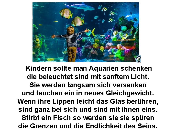  Kindern sollte man Aquarien schenken die beleuchtet sind mit sanftem Licht. Sie werden