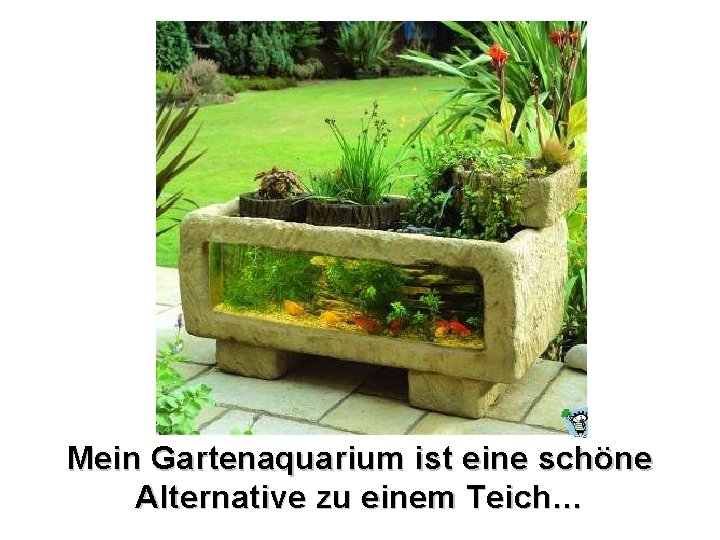 Mein Gartenaquarium ist eine schöne Alternative zu einem Teich… 