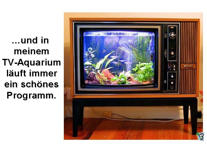 …und in meinem TV-Aquarium läuft immer ein schönes Programm. 
