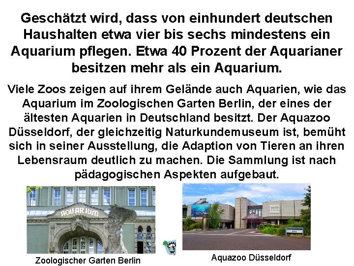 Geschätzt wird, dass von einhundert deutschen Haushalten etwa vier bis sechs mindestens ein Aquarium