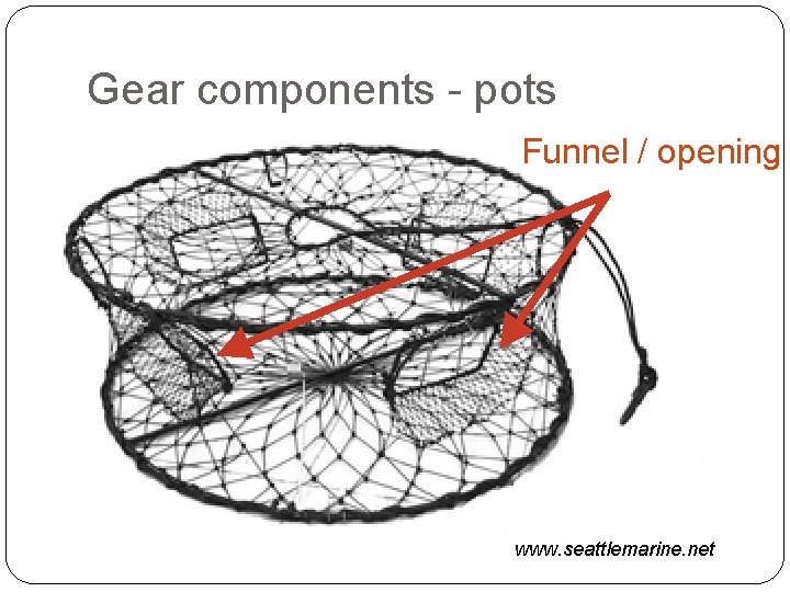 Gear components - pots Funnel / opening www. seattlemarine. net 
