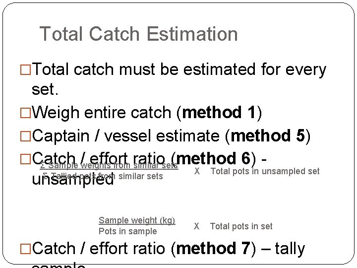 Total Catch Estimation �Total catch must be estimated for every set. �Weigh entire catch