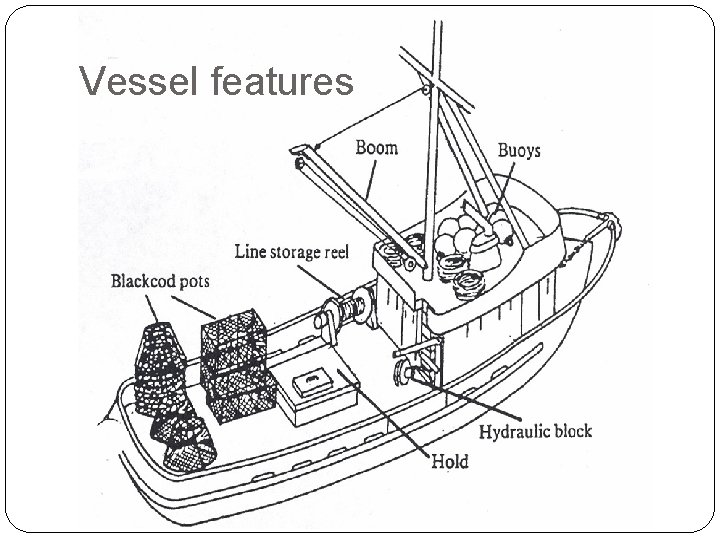 Vessel features 