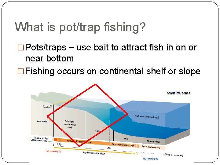 What is pot/trap fishing? � Pots/traps – use bait to attract fish in on