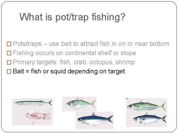 What is pot/trap fishing? � Pots/traps – use bait to attract fish in on