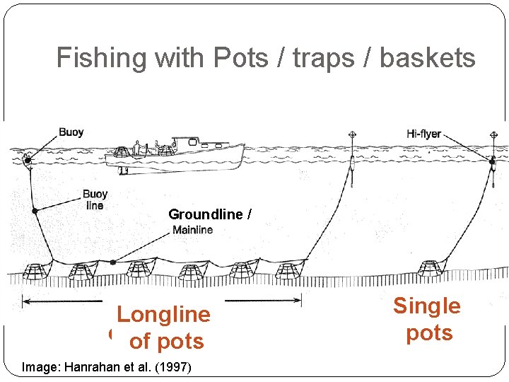 Fishing with Pots / traps / baskets Groundline / Longline ofof baskets pots Image: