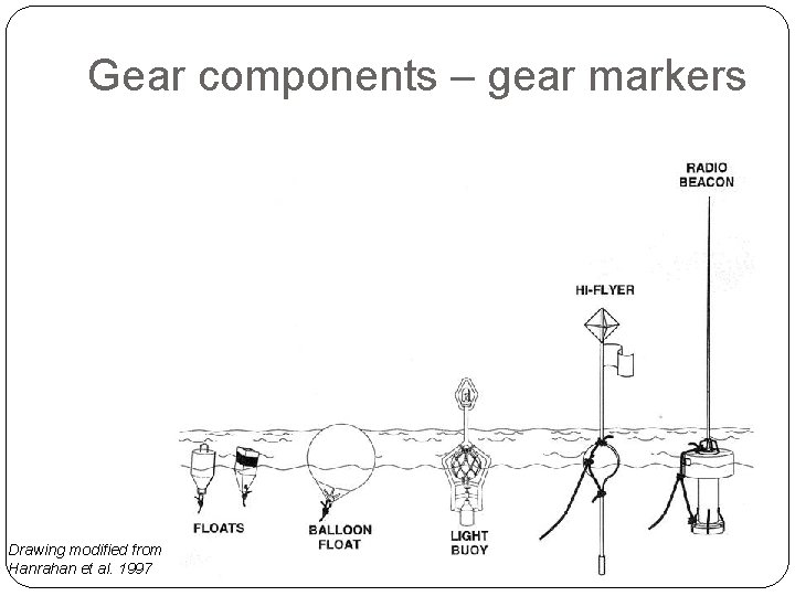 Gear components – gear markers Drawing modified from Hanrahan et al. 1997 