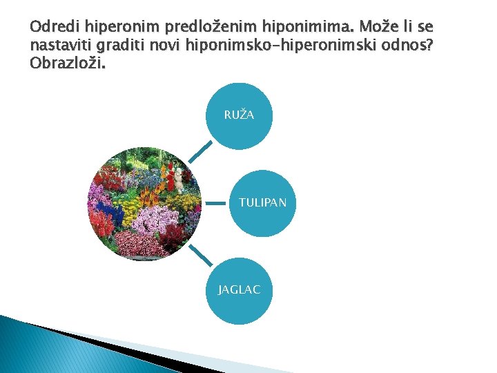 Odredi hiperonim predloženim hiponimima. Može li se nastaviti graditi novi hiponimsko-hiperonimski odnos? Obrazloži. RUŽA