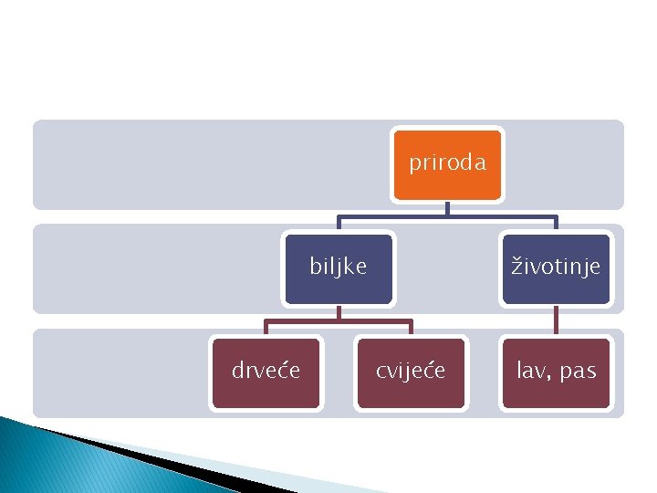 priroda biljke drveće životinje cvijeće lav, pas 