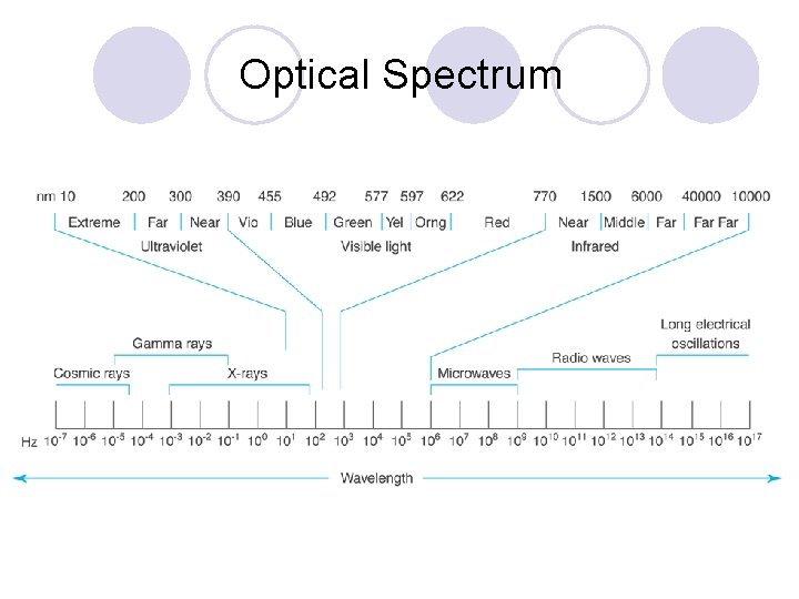 Optical Spectrum 