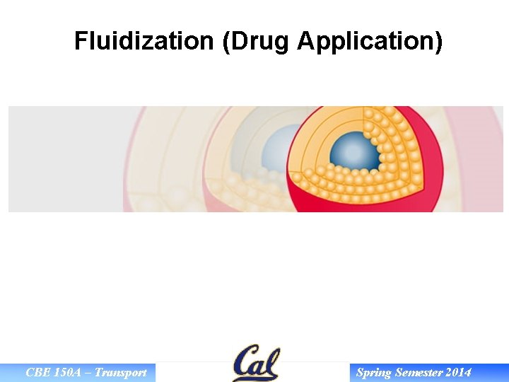 Fluidization (Drug Application) CBE 150 A – Transport Spring Semester 2014 