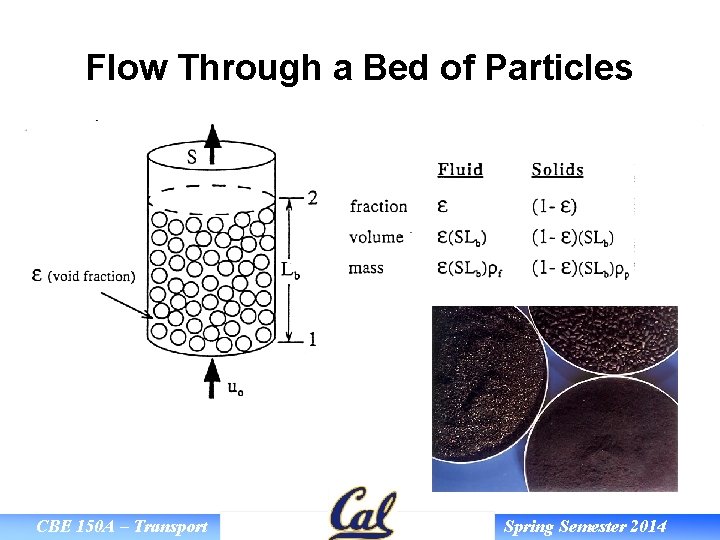 Flow Through a Bed of Particles CBE 150 A – Transport Spring Semester 2014