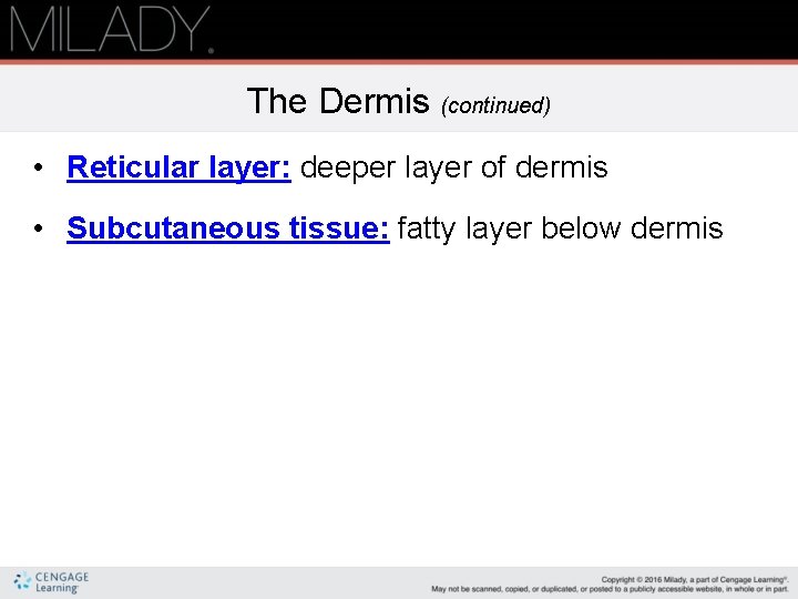 The Dermis (continued) • Reticular layer: deeper layer of dermis • Subcutaneous tissue: fatty