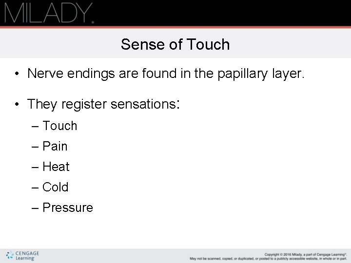 Sense of Touch • Nerve endings are found in the papillary layer. • They