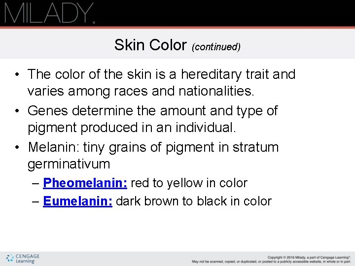 Skin Color (continued) • The color of the skin is a hereditary trait and