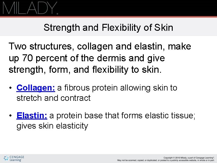 Strength and Flexibility of Skin Two structures, collagen and elastin, make up 70 percent
