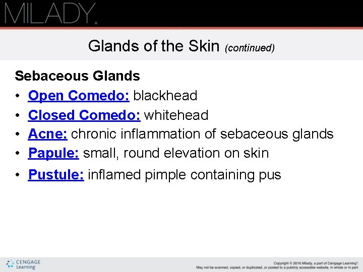 Glands of the Skin (continued) Sebaceous Glands • Open Comedo: blackhead • Closed Comedo: