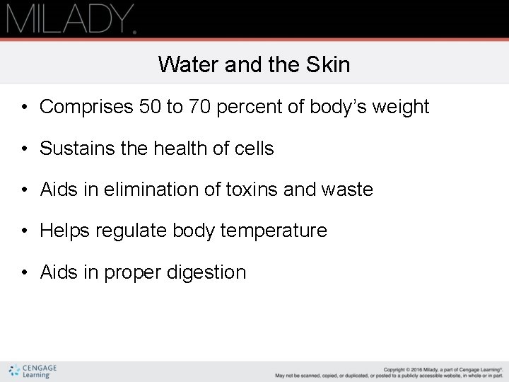 Water and the Skin • Comprises 50 to 70 percent of body’s weight •