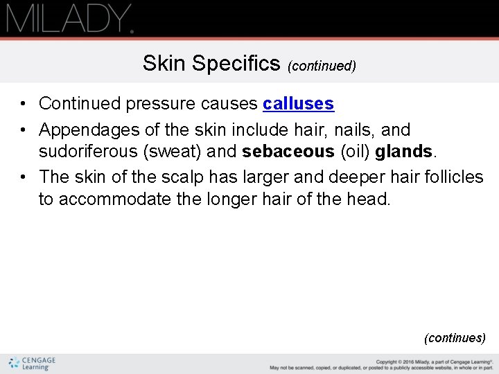Skin Specifics (continued) • Continued pressure causes calluses • Appendages of the skin include