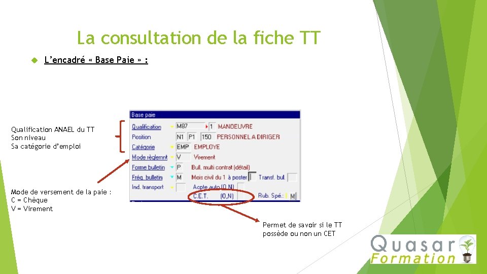 La consultation de la fiche TT L’encadré « Base Paie » : Qualification ANAEL