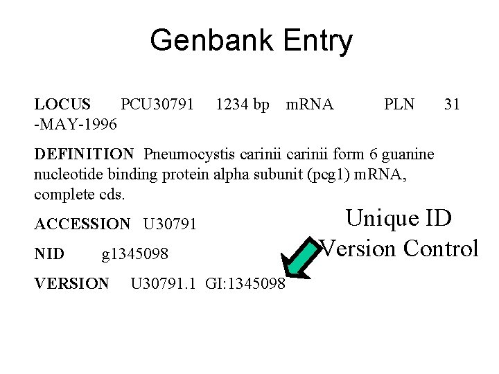 Genbank Entry LOCUS PCU 30791 -MAY-1996 1234 bp m. RNA PLN 31 DEFINITION Pneumocystis Genbank Entry LOCUS PCU 30791 -MAY-1996 1234 bp m. RNA PLN 31 DEFINITION Pneumocystis