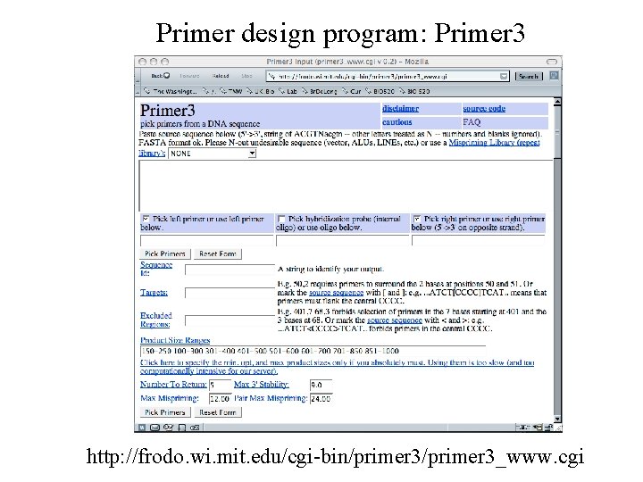 Primer design program: Primer 3 http: //frodo. wi. mit. edu/cgi-bin/primer 3_www. cgi Primer design program: Primer 3 http: //frodo. wi. mit. edu/cgi-bin/primer 3_www. cgi