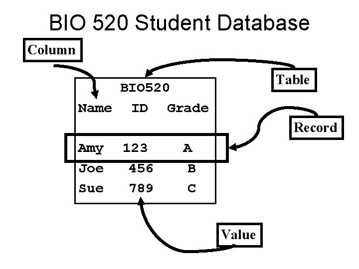 BIO 520 Student Database Column Table BIO 520. Name ID Grade Record Amy Joe