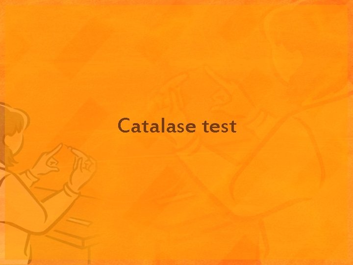 Catalase test Catalase test