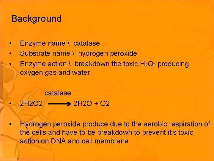 Background • • • Enzyme name  catalase Substrate name  hydrogen peroxide Enzyme