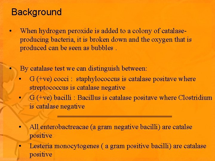 Background • When hydrogen peroxide is added to a colony of catalaseproducing bacteria, it Background • When hydrogen peroxide is added to a colony of catalaseproducing bacteria, it