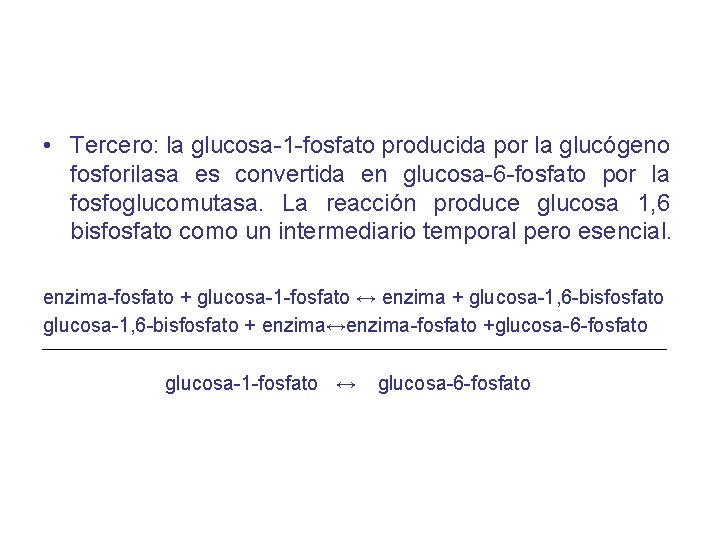  • Tercero: la glucosa-1 -fosfato producida por la glucógeno fosforilasa es convertida en