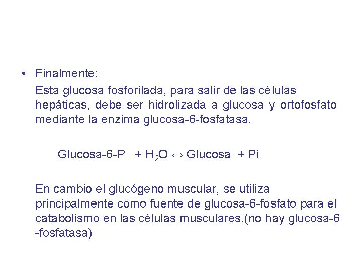  • Finalmente: Esta glucosa fosforilada, para salir de las células hepáticas, debe ser