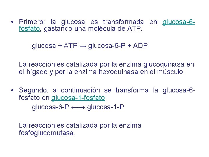  • Primero: la glucosa es transformada en glucosa-6 fosfato, gastando una molécula de