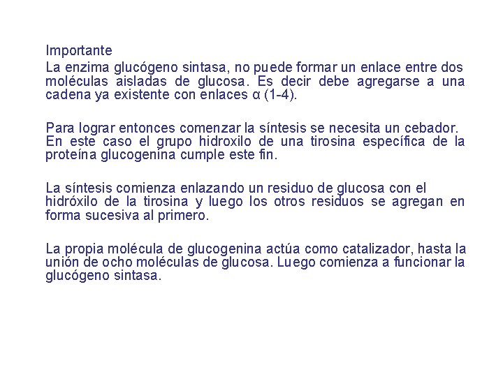 Importante La enzima glucógeno sintasa, no puede formar un enlace entre dos moléculas aisladas