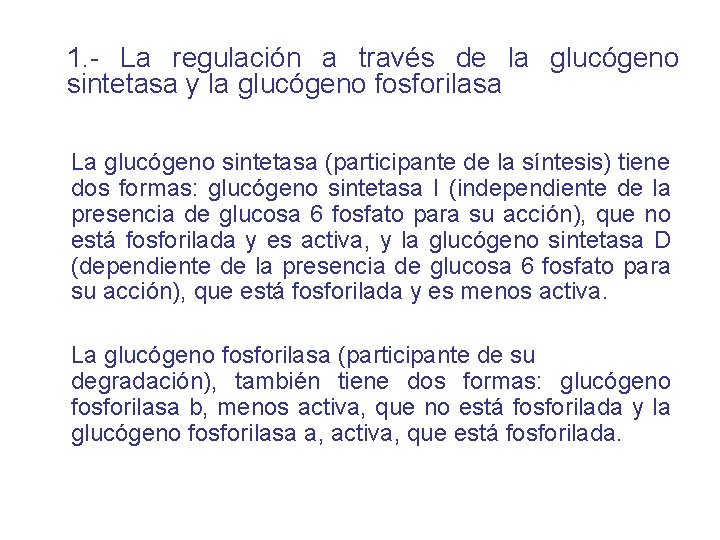 1. - La regulación a través de la glucógeno sintetasa y la glucógeno fosforilasa