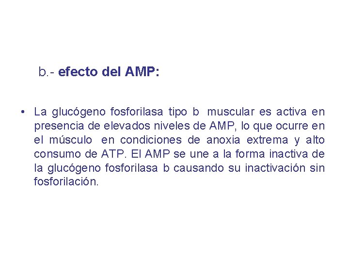 b. - efecto del AMP: • La glucógeno fosforilasa tipo b muscular es activa