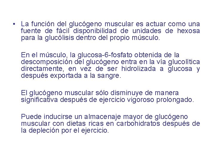  • La función del glucógeno muscular es actuar como una fuente de fácil