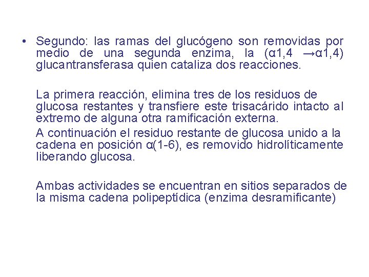  • Segundo: las ramas del glucógeno son removidas por medio de una segunda