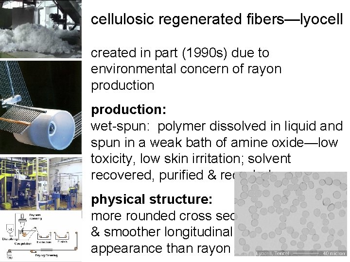 cellulosic regenerated fibers—lyocell created in part (1990 s) due to environmental concern of rayon