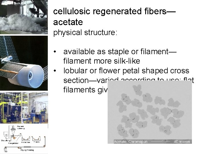 cellulosic regenerated fibers— acetate physical structure: • available as staple or filament— filament more
