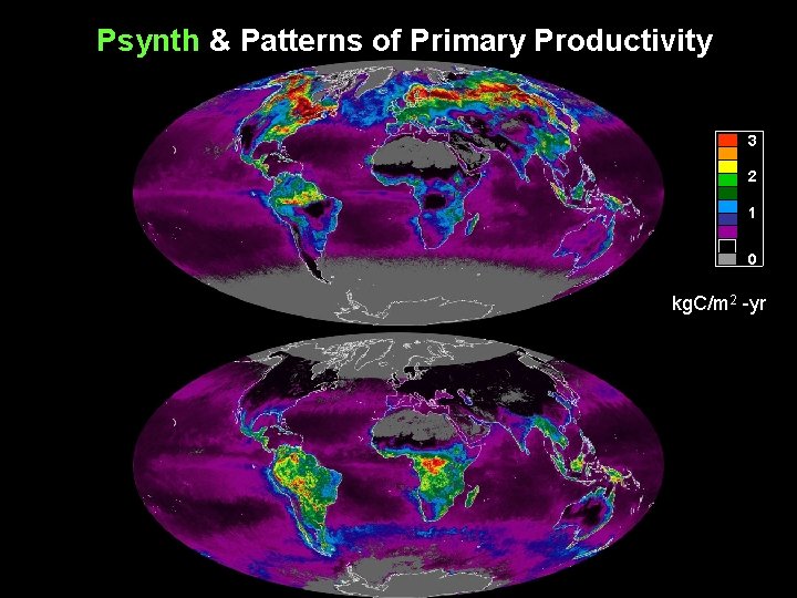 Psynth & Patterns of Primary Productivity 3 2 1 0 kg. C/m 2 -yr