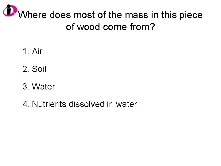 Where does most of the mass in this piece of wood come from? 1.