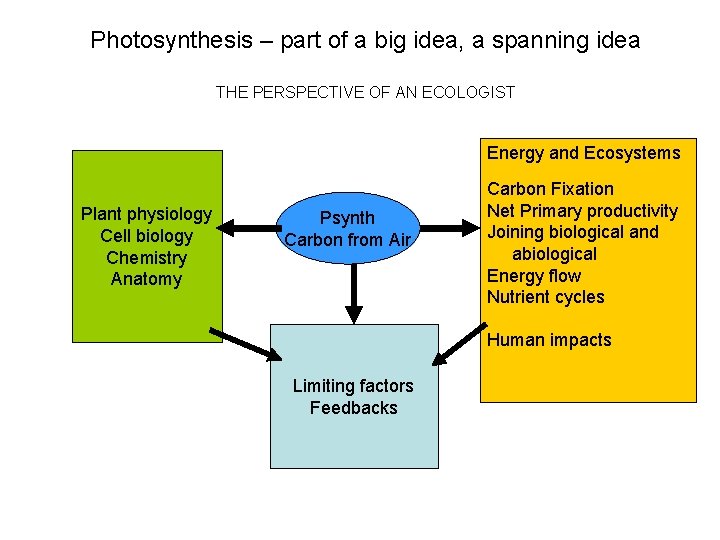 Photosynthesis – part of a big idea, a spanning idea THE PERSPECTIVE OF AN