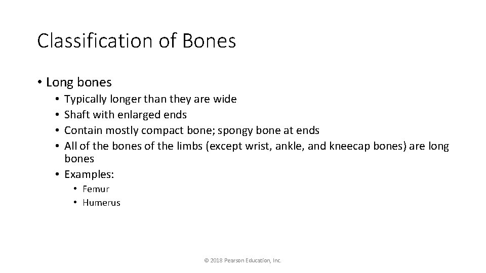 Classification of Bones • Long bones Typically longer than they are wide Shaft with