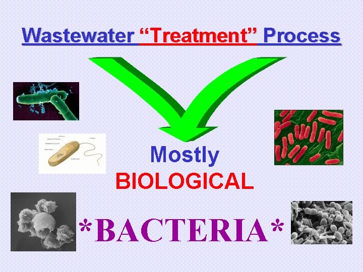 Wastewater “Treatment” Process Mostly BIOLOGICAL *BACTERIA* 