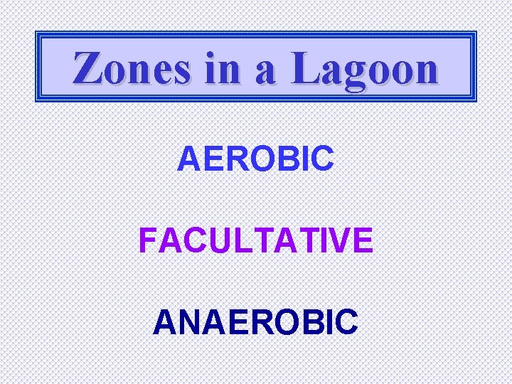 Zones in a Lagoon AEROBIC FACULTATIVE ANAEROBIC 