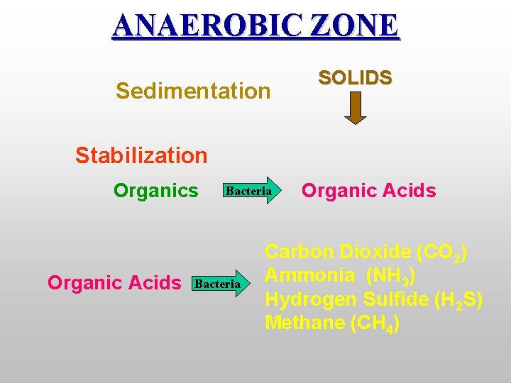 ANAEROBIC ZONE Sedimentation SOLIDS Stabilization Organics Organic Acids Bacteria Organic Acids Carbon Dioxide (CO